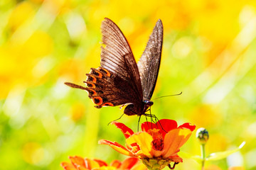 Obraz premium National Taiwan Democracy Square