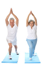 Naklejka premium Portrait of Elder Couple