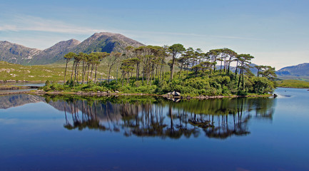 Fototapeta premium Connemara5