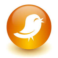 twitter icon
