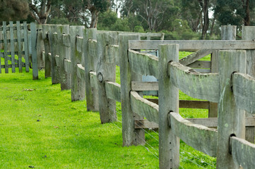 Rustic Fence Churchill Island