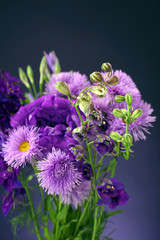Beautiful wild flowers on dark blue background