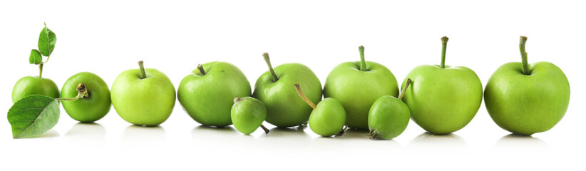 Green apples isolated on white