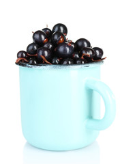 Black currant berries in mug isolated on white