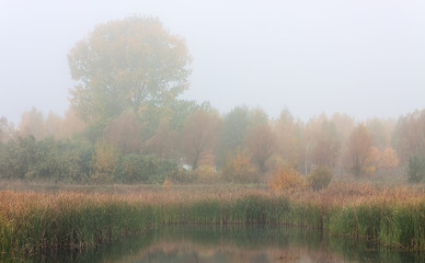 Morning autumn landscape meadows forests in the fog