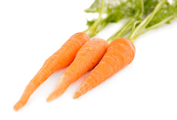 Fresh carrot with leaves isolated on white