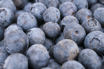 Schwarzbeeren