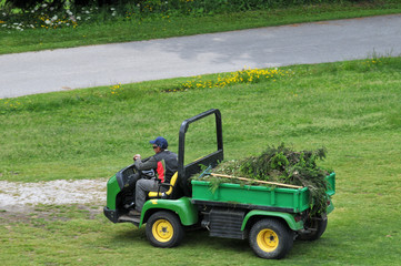 Petit camion de jardin