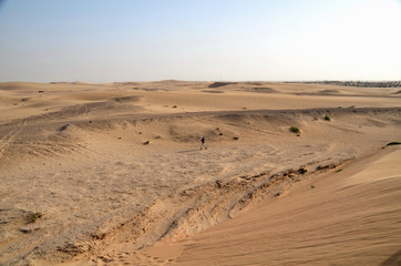 Fototapeta na wymiar Local resident walking through the desert Dubai; UAE