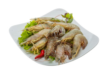 Raw tiger shrimps