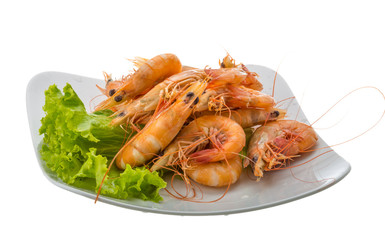 Big tiger shrimps