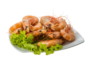 Big tiger shrimps