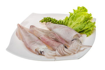 Raw calamari