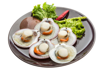 Raw fresh scallop