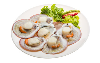 Raw fresh scallop