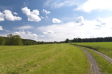 Fototapeta na wymiar Landscape in Upper Palatinate, Germany
