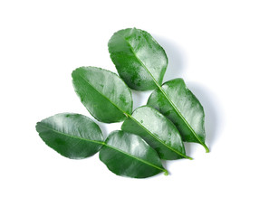 Kaffir lime leaves.