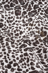 leopard pattern