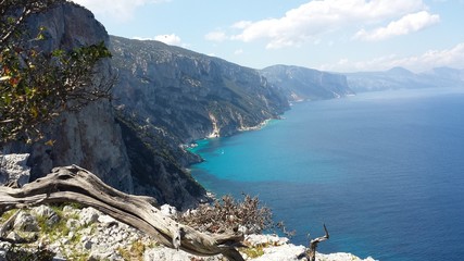 Selvaggio Blu