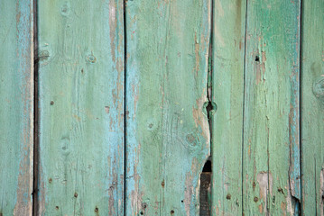 Holz