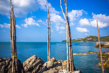 Tropical beach at Koh Phangan - nature background. Thailand