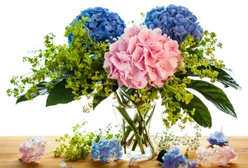 Crédence de cuisine en verre imprimé Hortensia hortensia bleu et rose