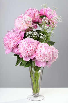bouquet of pink peonies on a gray background