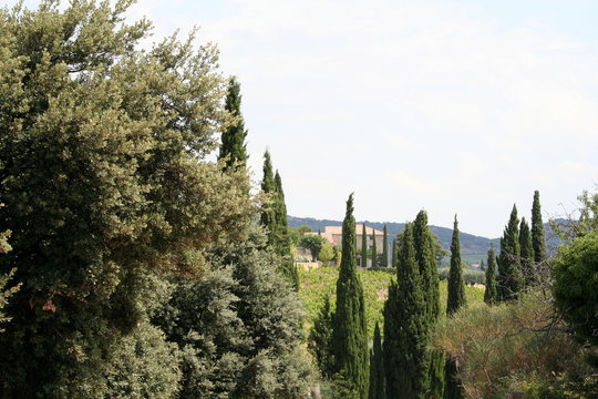 Provencalische Landschaft