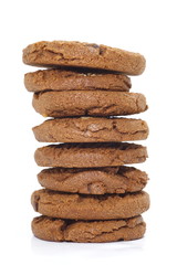 Fototapeta na wymiar macadamia nut cookies with chocolate