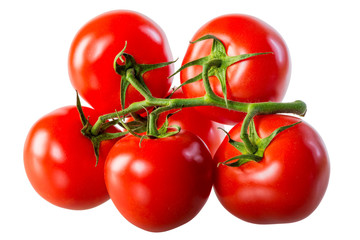 juicy fresh tomatoes on a green branch isolated