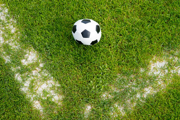 Fußball auf dem Rasen