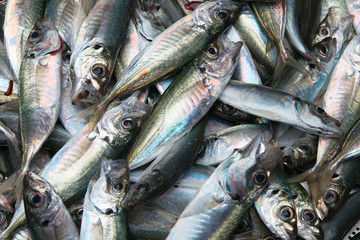 Obraz premium Raw fish.