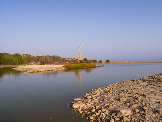 Fototapeta premium Lagune in Maspalomas auf Gran Canaria