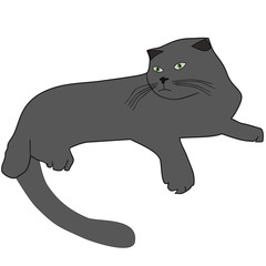 Gray cat with green eyes. Raster