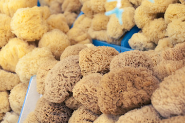 Natural sponge in different shapes on boat stall in Greece