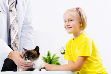 Cat at vet clinic