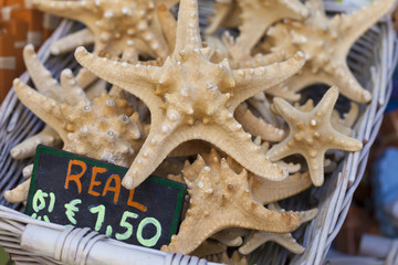 Obraz premium Starfish and seashells souvenirs for sale