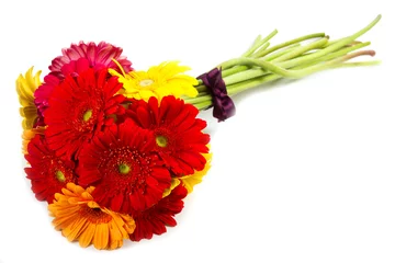 Crédence de cuisine en verre imprimé Gerbera bouquet de fleurs de gerbera colorées
