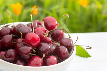 Bowl of cherry berries on grass background
