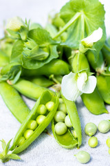 Fresh pea pods