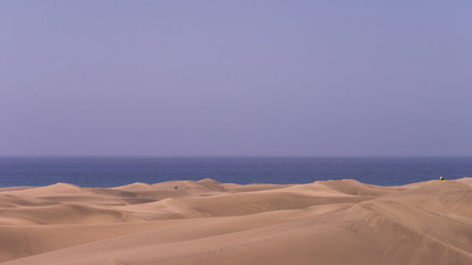 Die Dünen von Maspalomas auf Gran Canaria