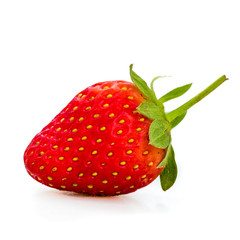 Erdbeere