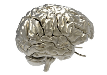 brain with clipping mask