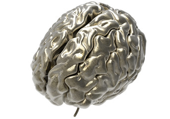 brain with clipping mask