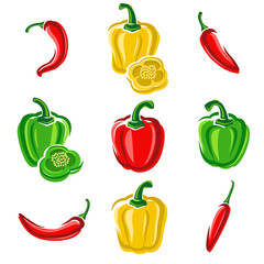 Chili and pepper set. Vector