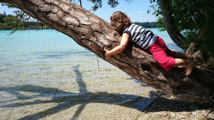 Fototapete bei efototapeten.de bestellen   