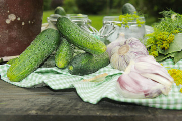 Pickling cucumbers