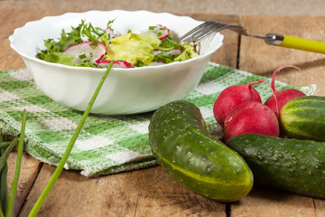 Salad with radish and green cucumber.