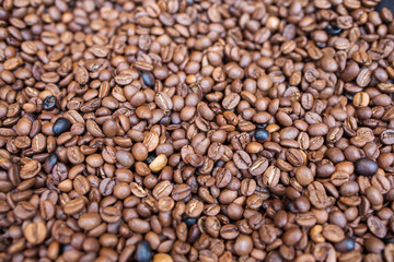 coffee beans close up