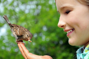 Little girl feeding sparrow